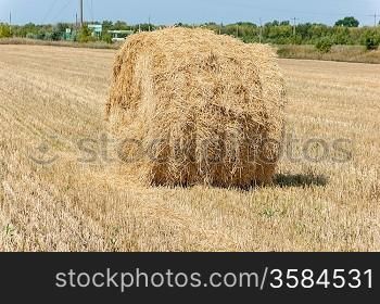 On the sloping field of wheat is a big stack straw