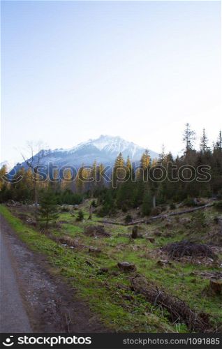 On the way to Sea Eye in Poland. Road in the forest. Tatry. On the way to Sea Eye in Poland. Road in the forest. Tatry.