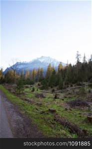 On the way to Sea Eye in Poland. Road in the forest. Tatry. On the way to Sea Eye in Poland. Road in the forest. Tatry.