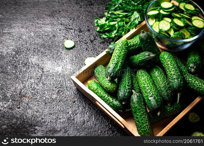 On the wooden tray fresh cucumbers. On a black background. High quality photo. On the wooden tray fresh cucumbers.