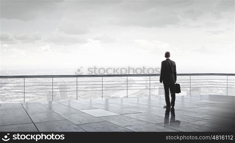 On top of business. Back view of businessman standing on roof looking at city