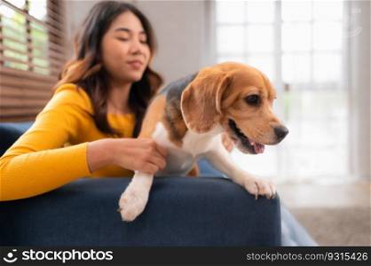 On weekends, a beag≤and her ow≠r sit in their living room,