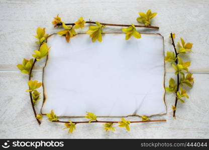 On white wooden boards, a sheet of paper is burned at the edges, and the branches are with yellow leaves. Leaving space for text. Concept background.. On white wooden boards, a sheet of paper is burned at the edges, and the branches are with yellow leaves. Leaving space for text.