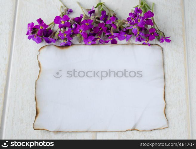 On white wooden boards, a white sheet of paper was burning on the edges, and purple flowers, leaving room for text. Concept background.. On white wooden boards, a white sheet of paper was burning on the edges, and purple flowers, leaving room for text.