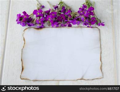 On white wooden boards, a white sheet of paper was burning on the edges, and purple flowers, leaving room for text. Concept background.. On white wooden boards, a white sheet of paper was burning on the edges, and purple flowers, leaving room for text.