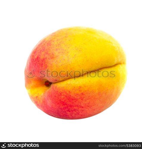 One apricot fruit isolated on white background