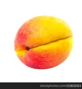 One apricot fruit isolated on white background