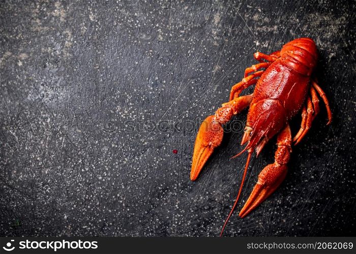 One beautiful boiled crayfish. On a black background. High quality photo. One beautiful boiled crayfish. On a black background.