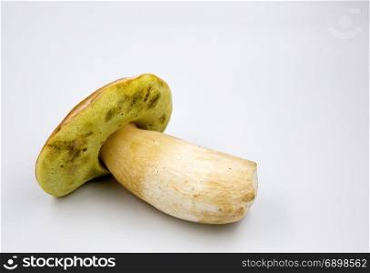 One beautiful, boletus edulis (Boletus edulis) isolated on a white background with clearly visible yellow underside of a hat and its structure.Close horizontal view