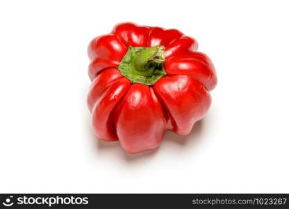 One bell pepper from the kitchen garden, isolated on white background