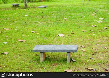 One bench. On the lawn in the park. And the leaves on the lawn.