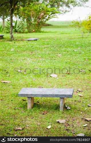 One bench. On the lawn in the park. And the leaves on the lawn.