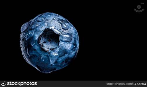 One blueberry covered with water drops isolated on black background. Very detailed macro shoot with copy space on right.. One blueberry covered with water drops isolated on black background. Antioxidant concept.