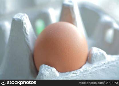 One brown egg in packing for eggs closeup