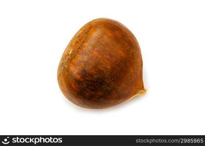 One chestnut isolated on the white background