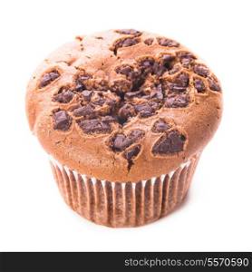 One chocolate muffin isolated isolated on white
