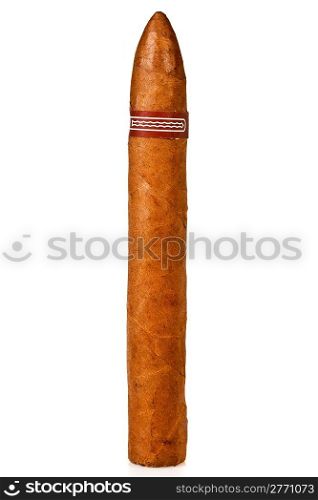 One cigar on a white background