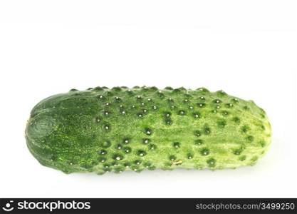 one cucumber isolated on white background