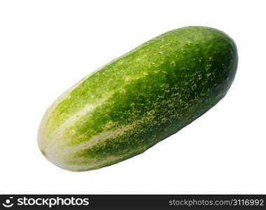 One cucumber on a white background, isolated