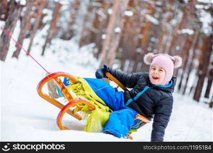 One cute girl sitting in a sleigh. Family winter walk in the woods.. One cute girl sitting in a sleigh. Family walk in the woods.