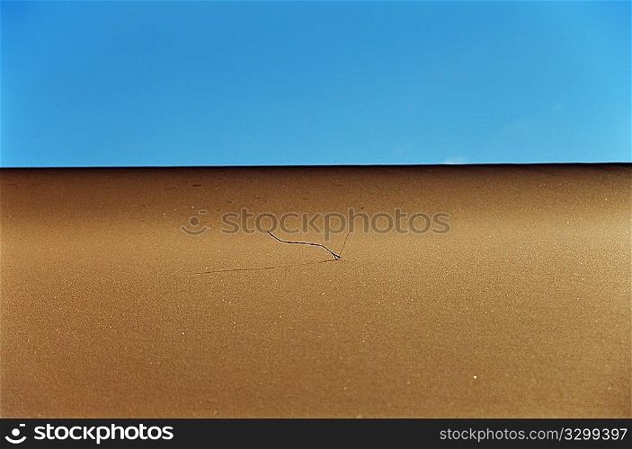 One dry reed on a desert dune: aridity concept