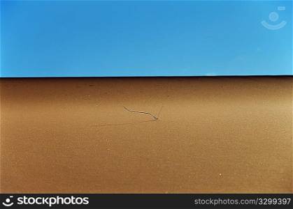 One dry reed on a desert dune: aridity concept