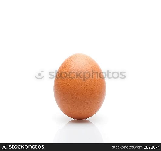 One egg on white background