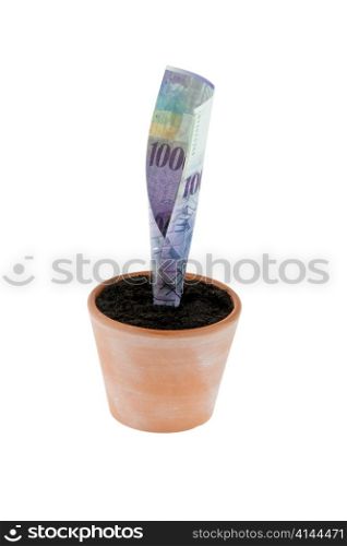 one franc note into flower pot. symbol rates, growth.