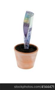 one franc note into flower pot. symbol rates, growth.