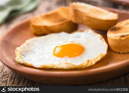 One fresh fried egg sunny side up with toasted baguette slices on the side served on wooden plate (Selective Focus, Focus on the front of the egg yolk). Fried Egg with Toasted Bread