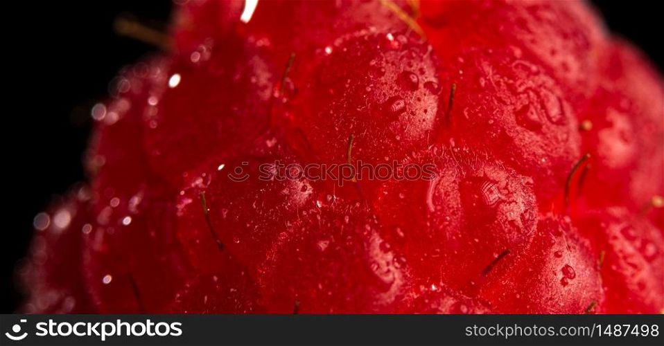 One fresh raspberry closeup on a black background isolated. Detailed shoot. One fresh raspberry closeup on a black background isolated.