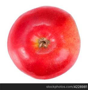 One fresh red apple. Isolated on white background. Close-up. Studio photography.