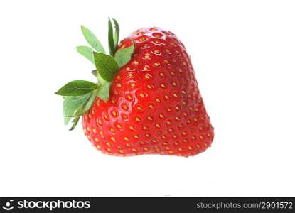 one fresh red strawberry with leaves