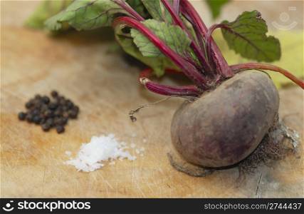 One freshly harvested beetroot being prepared for cooking on a wooden chopping board. Shallow DOF, salt and pepper in background.