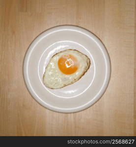 One fried egg on plate.