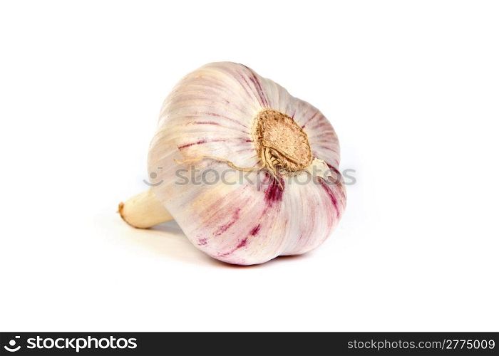 One garlic . A head of garlic isolated on a white background
