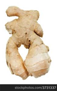 one ginger root isolated on white background
