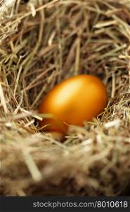 One golden chicken egg in nest close-up