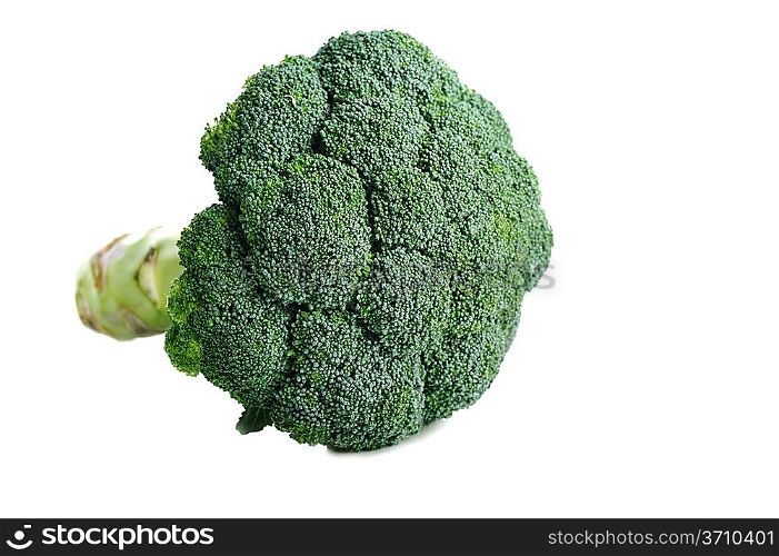 one green broccoli are on white surface