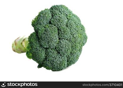 one green broccoli are on white surface