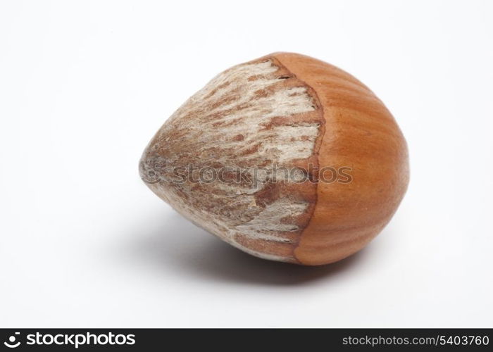 One Hazelnuts