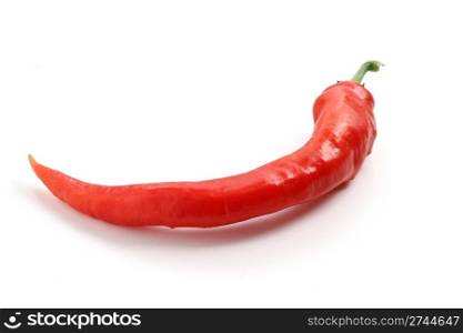 one hot chili pepper over white background