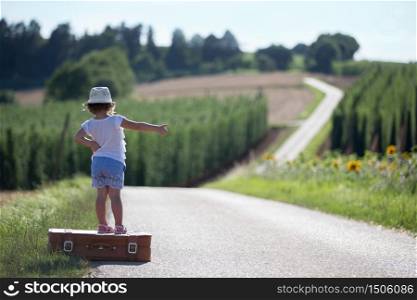 One little girl with a suitcase on a road between two fields. A little girl with a suitcase on a road between two fields