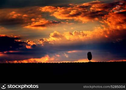 One lonely tree silhouette on dramatic sunset sky background, amazing orange cloudscape, majestic sky panorama, autumn season concept