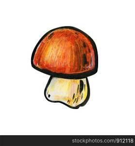 One mushroom close up. Autumn concept. Cep or boletus. Mushroom with a red-brown hat and a white leg. Side view.. One mushroom close up. Autumn concept.