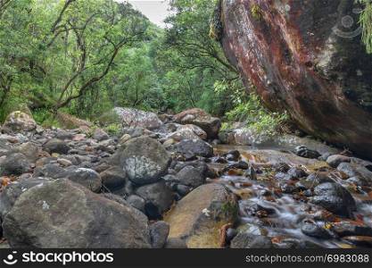 One of the many beautiful nature reserves along the Drakensberg Mountain Range