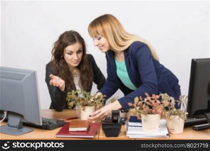 One office employee puts on a workstation other employee of your flowers