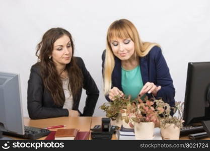 One office employee unfriendly looks at colleague - a lover of flowers