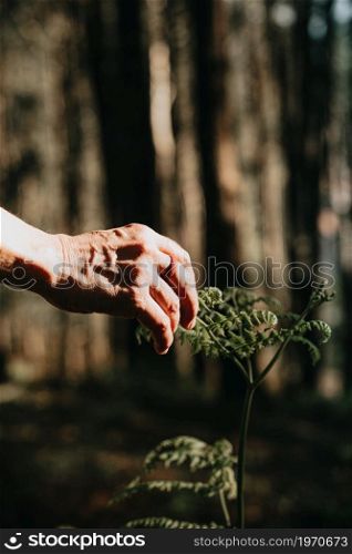 One old hand using a rubber ring reaching a plant in the middle of the forest during a sunny day
