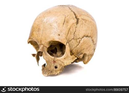 One old jawless Human Scull isolated on white